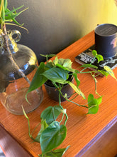 Load image into Gallery viewer, Retro Chest