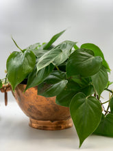 Load image into Gallery viewer, Red Copper Bowl/Planter