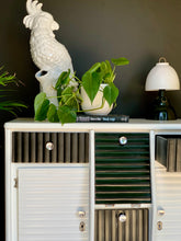 Load image into Gallery viewer, Retro Monochrome Cabinet