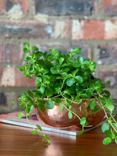 Load image into Gallery viewer, Vintage Copper Bowl