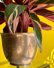 Load image into Gallery viewer, Vintage Brass Planters