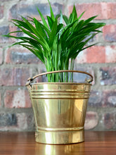 Load image into Gallery viewer, Vintage Brass Planters