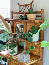 Load image into Gallery viewer, Vintage Cane Display Cabinet