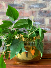Load image into Gallery viewer, Vintage Brass Planters
