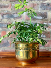 Load image into Gallery viewer, Vintage Brass Planters