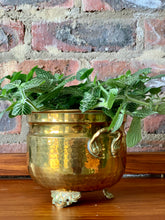 Load image into Gallery viewer, Vintage Brass Planters