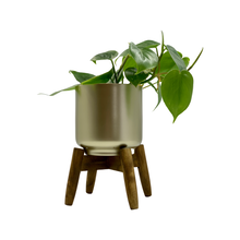 Load image into Gallery viewer, Decorative Planters