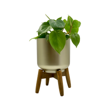 Load image into Gallery viewer, Decorative Planters