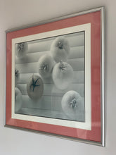 Load image into Gallery viewer, Vintage 'Tomato' Print