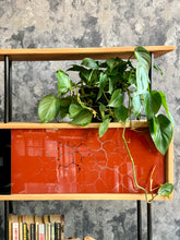 Load image into Gallery viewer, Retro Room divider/ Shelving unit
