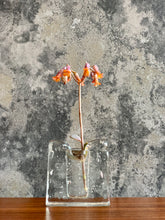 Load image into Gallery viewer, Vintage Stem Glass Vase