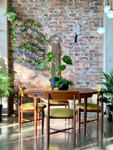 Load image into Gallery viewer, G-Plan Dining Set
