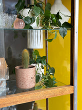 Load image into Gallery viewer, Vintage Glass & Steel Framed Display Cabinet