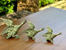 Load image into Gallery viewer, Brass Duck Wall Plaques