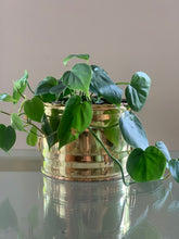 Load image into Gallery viewer, Vintage Brass Planter With Handles