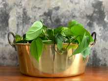 Load image into Gallery viewer, Large Brass Pot
