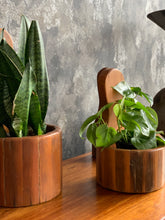 Load image into Gallery viewer, Set of Oregon Pine Plant Wall Mountable Holders