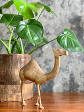 Load image into Gallery viewer, Brass Camel