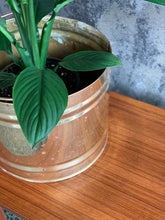 Load image into Gallery viewer, Vintage Brass Planters