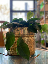 Load image into Gallery viewer, Vintage Brass Planters