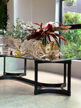 Load image into Gallery viewer, Mid-Century Modern Coffee Table