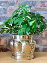 Load image into Gallery viewer, Vintage Brass Pots