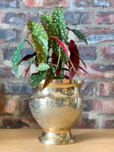 Load image into Gallery viewer, Vintage Brass Pots