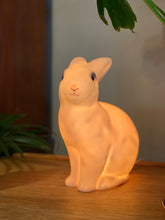Load image into Gallery viewer, Retro Bedside Lamp