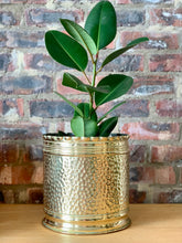 Load image into Gallery viewer, Vintage Brass Pots