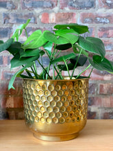 Load image into Gallery viewer, Vintage Brass Pots