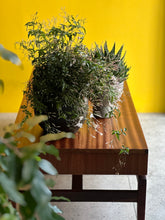 Load image into Gallery viewer, Mid-Century Media Table | Entrance Console
