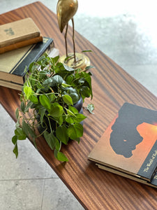 Iconic DS Vorster Coffee Table