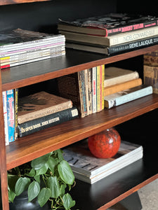 Retro Server | Bookcase | Media Cabinet