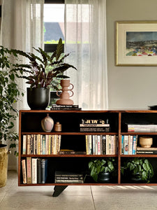 Retro Server | Bookcase | Media Cabinet