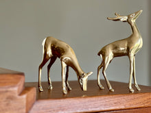 Load image into Gallery viewer, Vintage Pair of Solid Brass Deer
