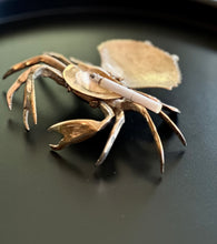 Load image into Gallery viewer, Brass Crab Ashtray
