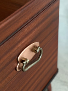 Retro “Camphor” Storage Kist