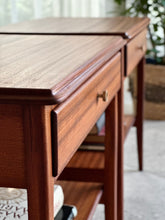 Load image into Gallery viewer, Pair of Classic DS Vorster Pedestals
