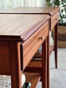 Pair of Classic DS Vorster Pedestals