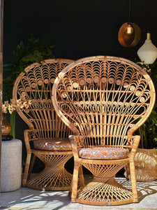 Iconic Cane Peacock Chair