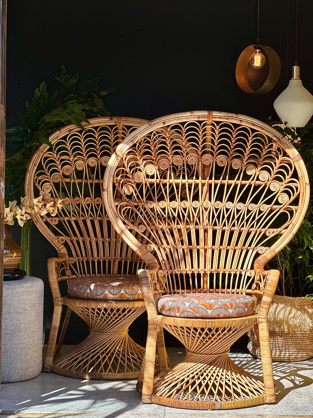 Iconic Cane Peacock Chair