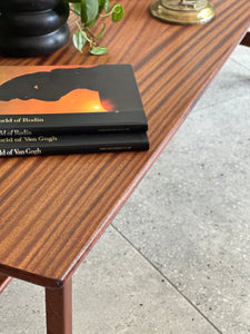 Iconic DS Vorster Coffee Table