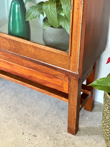 Vintage Bookcase / Display Cabinet