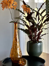 Load image into Gallery viewer, Tall Amber Genie Bottle
