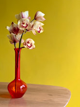 Load image into Gallery viewer, Vibrant Glass Vase
