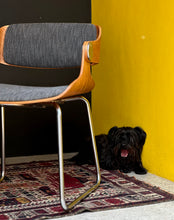 Load image into Gallery viewer, Occasional | Study Chair in the Manner of Eugen Schmidt for Soloform, Germany
