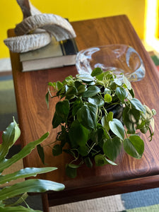 Coffee Table - Adam Bede