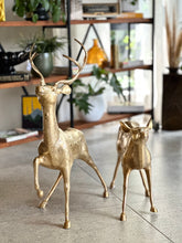 Load image into Gallery viewer, Large Solid Brass Buck &amp; Doe Deer Pair (Floor Standing)
