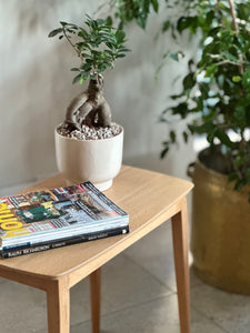 Vintage Lamp / Side Table