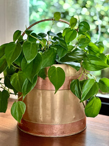 Copper Planter with Red Copper Detail